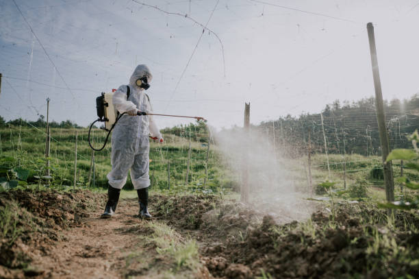 Best Best Pest Control Companies  in Santa Nella, CA