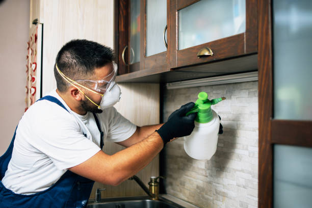 Best Wildlife Control Services  in Santa Nella, CA