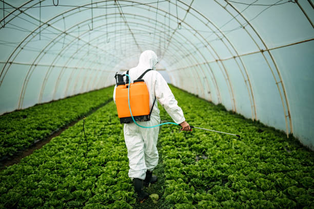Best Commercial Pest Control Services  in Santa Nella, CA