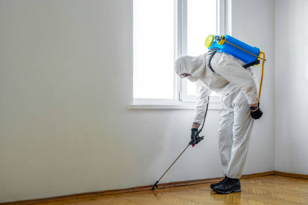 Best Cockroach Control Services  in Santa Nella, CA