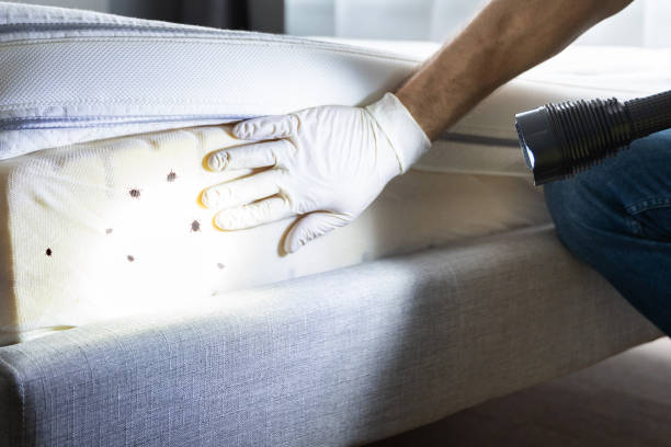 Best Pest Control for Restaurants  in Santa Nella, CA