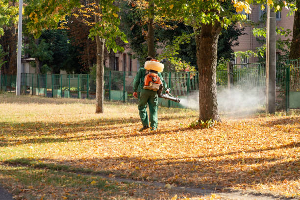 Wasp Removal Services in Santa Nella, CA