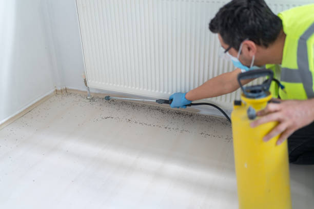 Best Flea Control Services  in Santa Nella, CA